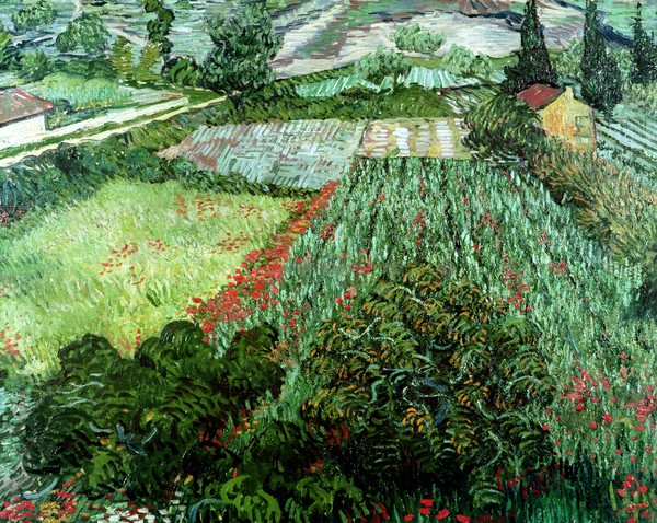 Vincent van Gogh, Field with Poppies, 1889 (oil on canvas)