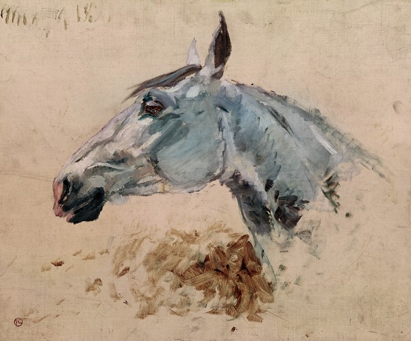 Henri de Toulouse-Lautrec, White Horse 'Gazelle', 1881 (oil on canvas)