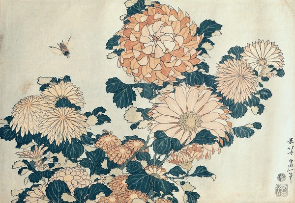 Katsushika Hokusai, Chrysanthemums (colour woodblock print)