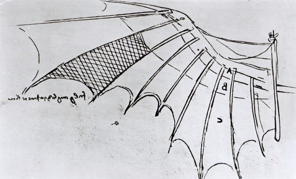 Leonardo da Vinci, M S B 2173 fol. 74r Studies of wing articulation, 1487-90 (pen & ink on paper)