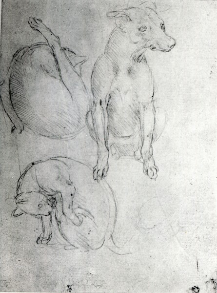 Leonardo da Vinci, Study of a dog and a cat, c.1480 (metalpoint on paper)