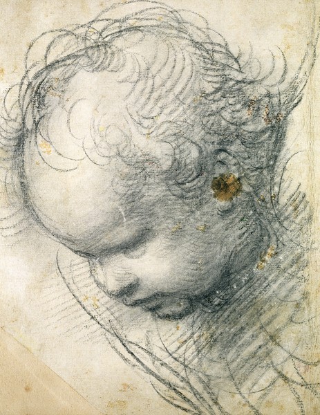 Raphael, Head of a Cherub (black chalk and charcoal on paper) (Kopf, Kinderkopf, Engel, Studie, Zeichnung, Renaissance, Malerei, Klassiker, Wunschgröße, Wohnzimmer, Treppenhaus, schwarz/weiß)