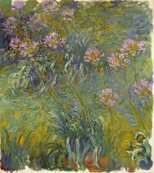 Claude Monet, Agapanthus, 1914-26 (oil on canvas)