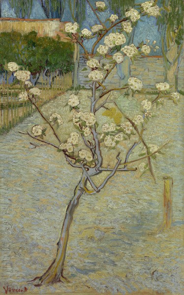 Vincent van Gogh, Small pear tree in blossom, 1888 (oil on canvas)