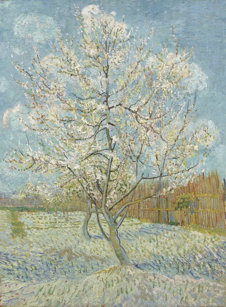 Vincent van Gogh, The Pink Peach Tree, 1888 (oil on canvas)