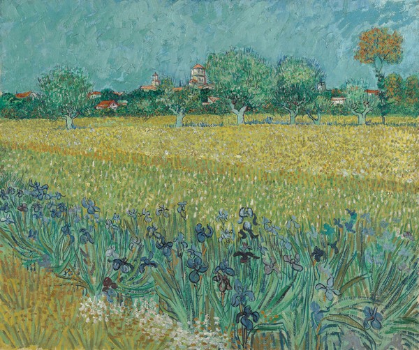 Vincent van Gogh, Field with Flowers near Arles, 1888 (oil on canvas)