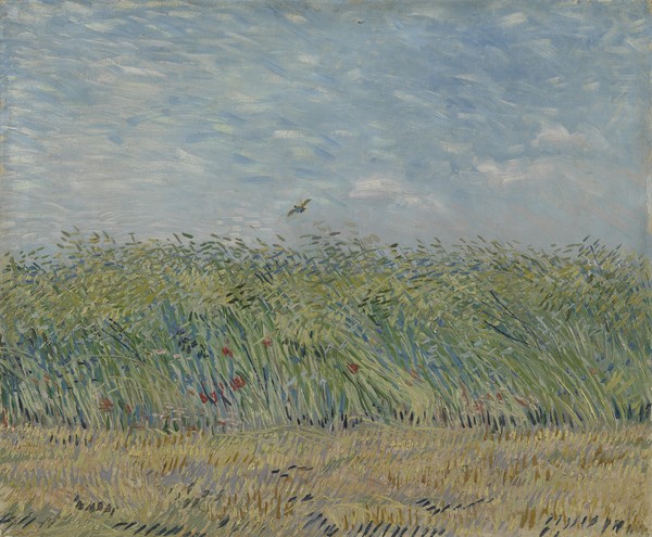 Vincent van Gogh, Wheatfield with Partridge, 1887 (oil on canvas)