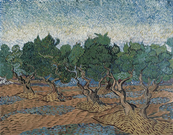 Vincent van Gogh, Olive Grove, 1889 (oil on canvas)