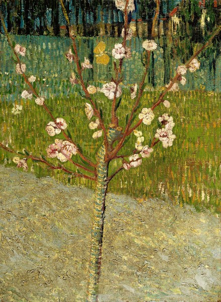 Vincent van Gogh, Almond Tree in Blossom, 1888 (oil on canvas)
