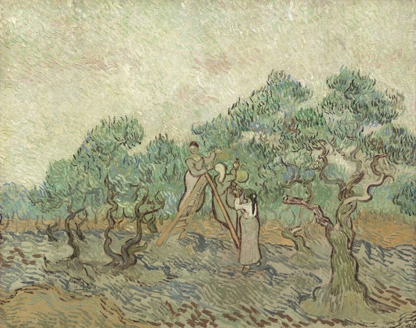 Vincent van Gogh, The Olive Orchard, 1889 (oil on canvas)