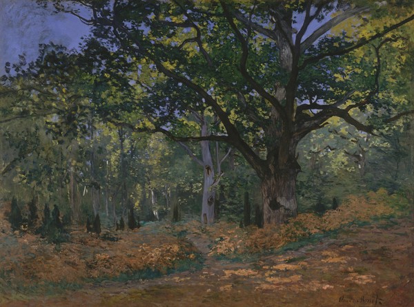 Claude Monet, The Bodmer Oak, Fontainebleau Forest, 1865 (oil on canvas)