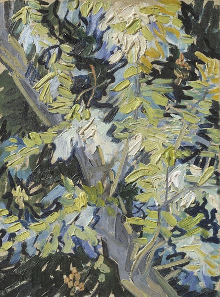 Vincent van Gogh, Acacia in Flower, c.1889 (oil on canvas)
