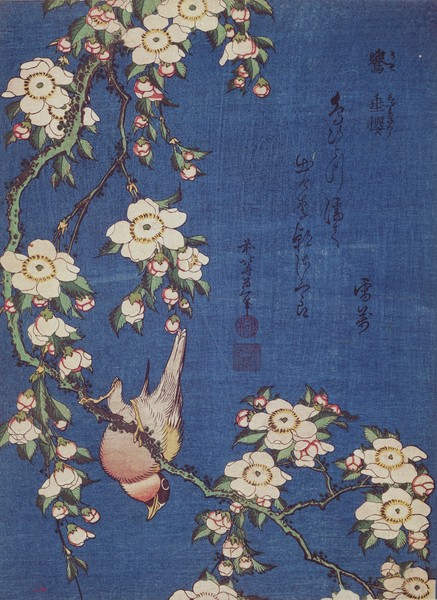 Katsushika Hokusai, Bullfinch and weeping cherry-tree, pub. c.1834 (colour woodblock print)