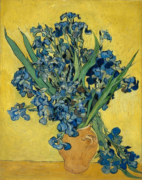 Vincent van Gogh, Irises, 1890 (oil on canvas)