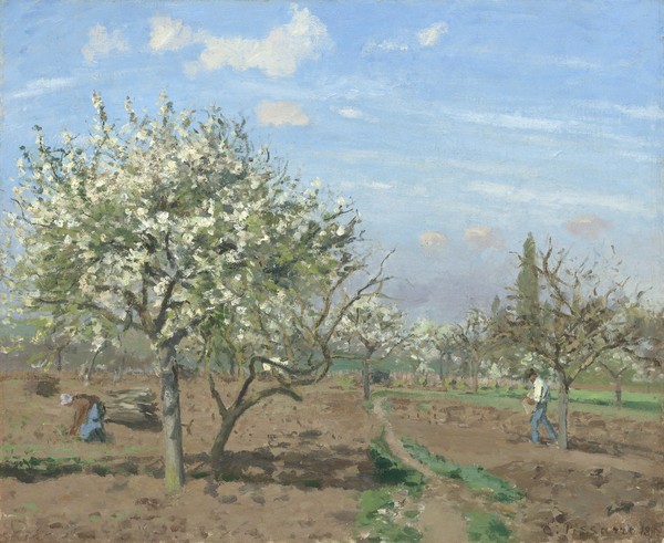 Camille Pissarro, Orchard in Bloom, Louveciennes, 1872 (oil on canvas)
