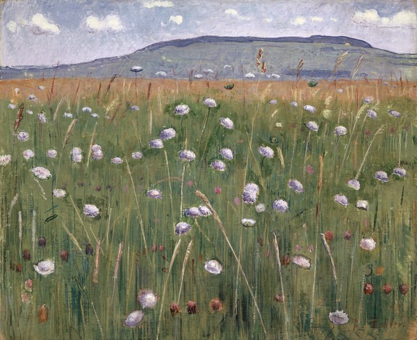Ferdinand Hodler, Meadow Piece, c.1901 (oil on canvas)