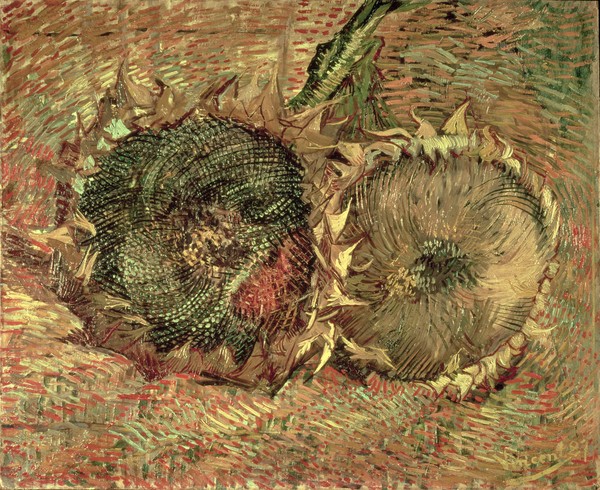 Vincent van Gogh, Two Cut Sunflowers, 1887 (oil on canvas)