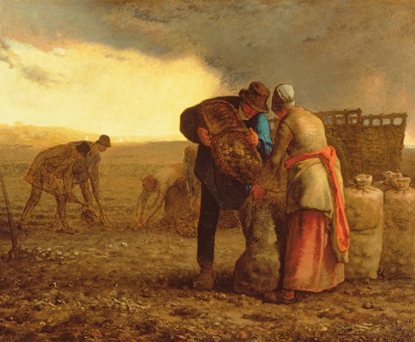 Jean-Francois Millet, The Potato Harvest, 1855 (oil on canvas) (Landwirtschaft, Ernte, Kartoffelernte, Feldarbeiter, mühsam, Bauerngenre, Realismus, Malerei, Wohnzimmer, Klassiker, Wunschgröße, bunt)