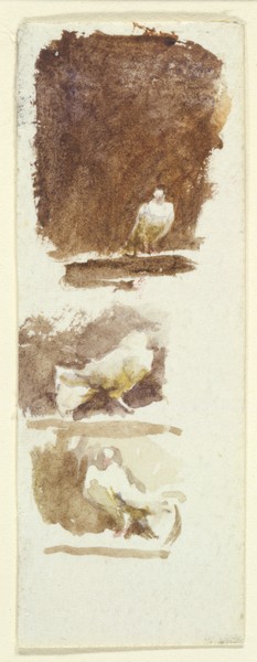 HELEN ALLINGHAM, Doves (w/c on paper) (Tauben, Vögel, Tiere, Aquarell, Mlaerei, Studie, Wohnzimmer, Wunschgröße, Malerei, grau/braun)