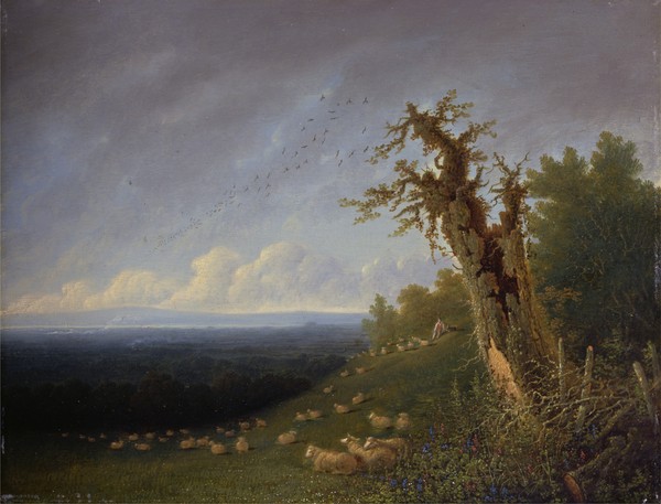 JOSEPH MALLORD WILLIAM TURNER, Shepherd Boy on a Hillside (oil on panel) (Landschaft, Landschaftsmalerei, Panorama, Schäfer, Schafherde, Schafe, Idylle, Romantik, Klassiker, Klassische Malerei, Büro, Wohnzimmer, Wunschgröße, bunt)