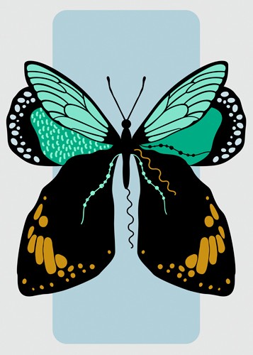 Ayse, Butterfly (Schmetterling, Insekt, Grafik, Pop Art, Plakativ, Wunschgröße, Treppenhaus, Wohnzimmer, bunt)