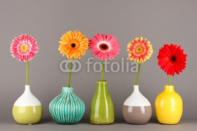 Africa Studio, Beautiful Gerber flowers on grey background (Wunschgröße, Fotografie, Photografie, dekorativ, Vasen, Minivasen, Blumen, Blüten, Gerbera, Fröhlich, Wellness, Küche, Wintergarten, Schlafzimmer, Wohnzimmer, bunt)