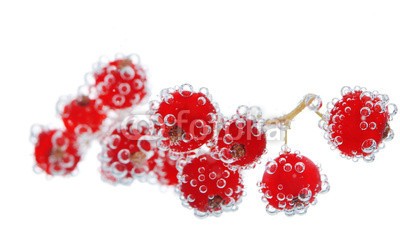 Africa Studio, Beautiful ripe red currant in water with bubbles, isolated (reif, rot, rosinen, wasser, mit, isoliert, weiß, hintergrund, schöner, beere, beere, getränke, verzweigt, hell, blase, blase, bündel, schließen, close-up, verfärbt, rosinen, details, trinken, entladen, fallen lassen, exotisch, strömend, essen, frisc)