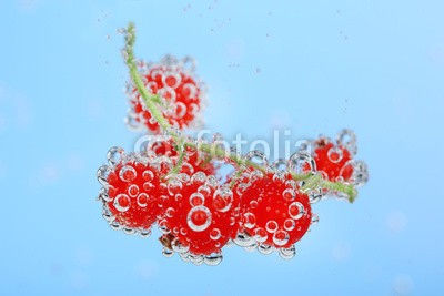 Africa Studio, Beautiful ripe red currant in water with bubbles, isolated (reif, rot, rosinen, wasser, hintergrund, schöner, beere, beere, getränke, blau, verzweigt, hell, blase, blase, bündel, schließen, close-up, verfärbt, rosinen, details, trinken, entladen, fallen lassen, exotisch, strömend, essen, frisch, obst, ga)