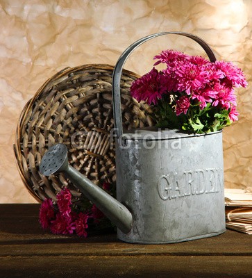 Africa Studio, Bouquet of pink chrysanthemum in watering can on wooden table (rosa, chrysanthemum, bewässerung, dose, hölzern, tisch, herbst, hintergrund, schöner, blühen, verdammt, blühen, botanisch, botanik, blumenstrauss, braun, bündel, karte, schließen, verfärbt, tage, flora, blume, blume, frisch, geschenk, grau, grupp)