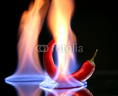 Africa Studio, Red hot chili pepper on fire, isolated on   black (Wunschgröße, Fotokunst, Peperoni, Chili, Pfeffer, Gewürze, Schärfe, Kochen, scharf, feurig, Flamme, Feuer, Nahaufnahme, Mahlzeit, Küche, Restaurant, Bistro, bunt)