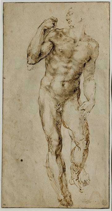 MICHELANGELO BUONARROTI, Male nude (Renaissance, Akt, Klassiker, Studie, Mann, muskulös, Schlafzimmer, Wohnzimmer, Rötel, Wunschgröße, Skizze, Zeichnung, schwarz/weiß)