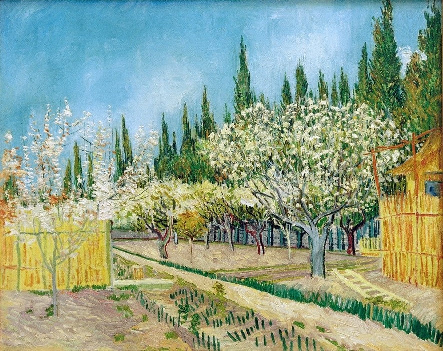 Vincent van Gogh, Blühender Obstgarten, von Zypressen umgeben (Baumblüte,Jahreszeiten,Kunst,Landschaft,Obstbau,Obstgarten,Impressionismus,Frühling,Baum,Niederländische Kunst,Zypresse,Holländische Kunst,Obstbaum,Postimpressionismus,Garten)