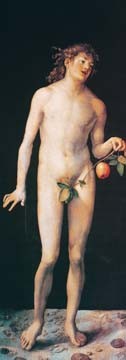 Albrecht Dürer, Adam (Klassiker, Adam, Mann, Paradies, Religiös, Apfel, Aktmalerei, nackter Körper, Renaissance, Malerei, Wunschgröße, Alte Meister, Wohnzimmer, Schlafzimmer, bunt)