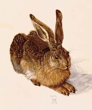 Albrecht Dürer, Junger Feldhase (Klassiker, Hase, Feldhase, Tierportrait, Renaissance, Malerei, Wunschgröße, Alte Meister, Wohnzimmer, Schlafzimmer, Treppenhaus, bunt)