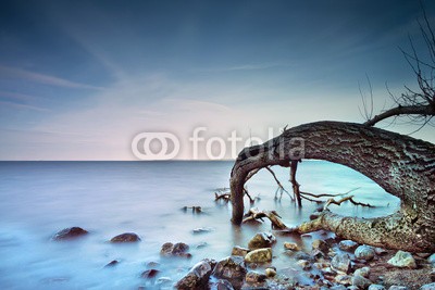 AlexanderLrs, Brodtener Ufer VI (stranden, schleswig-holstein, ostsee, sonnenuntergänge, ufer, stimmung, reue, ende, betrübt, sehnsüchtig, gefühl, horizont, brandung, steine, felsen, bau)