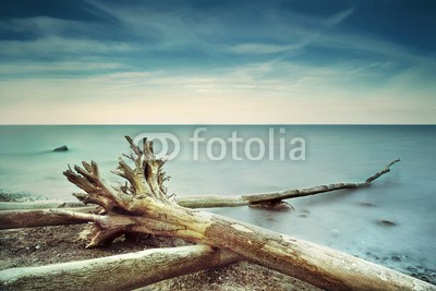 AlexanderLrs, Strand Mikado (stranden, schleswig-holstein, ostsee, ufer, stimmung, reue, ende, sehnsüchtig, gefühl, horizont, brandung, landschaf)