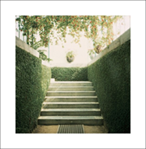 Alexandre BIBAUT, Serres 11, 2008 (Gewächshaus, botanischer Garten, Architektur, Gebäude, Treppe, Fotokunst, Treppenhaus, Wohnzimmer, bunt)