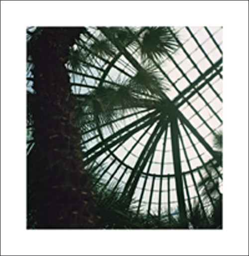 Alexandre BIBAUT, Serres 4, 2008 (Gewächshaus, Palmen, botanischer Garten, Architektur, Gebäude, Kuppel, Fotokunst, Treppenhaus, Wohnzimmer, bunt)