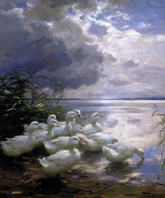 Alexander Koester, Enten am Seeufer (Teich, Enten, See, weiße Enten, Sonnenlicht, Sommer, bedrohliche Wolken, Impressionismus, Wasservögel, Wohnzimmer, Treppenhaus, Wunschgröße, bunt)