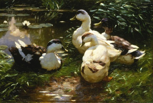 Alexander Koester, Enten am Seerosenteich (Teich, Enten, Sonnenlicht, Sommer, Impressionismus, Wasservögel, Wohnzimmer, Treppenhaus, Wunschgröße, bunt)