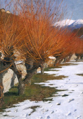 Alexander Koester, Weiden in der Wintersonne (Landschaft, Wintersonne, Kopfweiden, Schnee, Mauer, Impressionismus, Wohnzimmer, Treppenhaus, Wunschgröße, bunt)