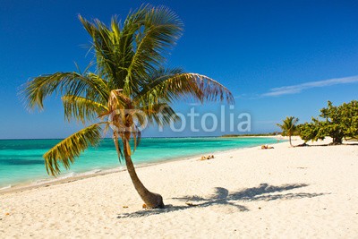 ALEKSANDAR TODOROVIC, Caribbean Island Paradise , Cuba (wasser, aquamarin, asien, hintergrund, strand, schöner, blau, cuba, ruhe, karibik, klar, küste, kokos, entfliehen, flora, hot, idyllisch, insel, isoliert, landschaft, natur, ozean, draußen, palme, paradise, peace, pflanze, entspannen, entspannung, san)