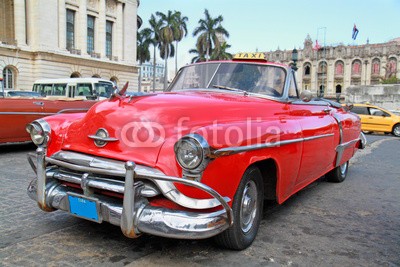 ALEKSANDAR TODOROVIC, Classic Oldsmobile  in Havana. (amerika, american, antikes, personenwagen, kfz, bar, cabs, autos, karibik, chrome, stadt, stadtlandschaft, classic, cuba, kubaner, fahrer, berühmt, front, grill, havana, urlaub, icon, orientierungspunkt, lateinisch, life, alt, leute, person, restauran)