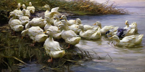 Alexander Koester, Enten am Seeufer (Teich, Enten, See, weiße Enten, Sonnenlicht, Sommer,  Impressionismus, Wasservögel, Wohnzimmer, Treppenhaus, Wunschgröße, bunt)