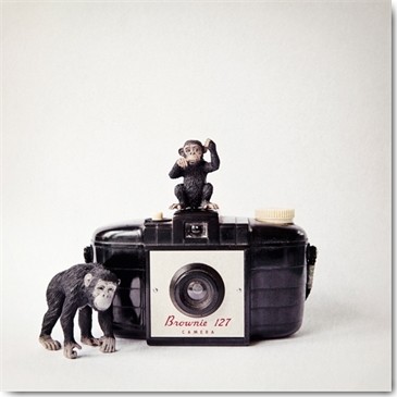 Susannah Tucker Photography, Monkey & Vintage Camera (Kamera, Fotoapperat, Kodak, Brownie 127, Bakelit, vintage, retro, Affen, Spielfigur, Schleichtier, Komposition, Fotokunst, Fotostudio, Wohnzimmer, Treppenhaus, Wunschgröße, schwarz/weiß)