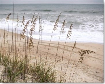 Marlana Semenza, Silver Seegrass (Strand, Sand, Wellen, Meer, Dünengras, Meeresbrise, Einsam, verlassen, Treppenhaus, Badezimmer, Fotografie, Wunschgröße, bunt)