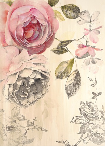 Stefania Ferri, Ethereal Roses 2 (Malerei, Rose, rosa Rose, Blumen, Blüten, Tapetenmuster, florales Muster, Schlafzimmer, Treppenhaus, Wunschgröße, pastell)