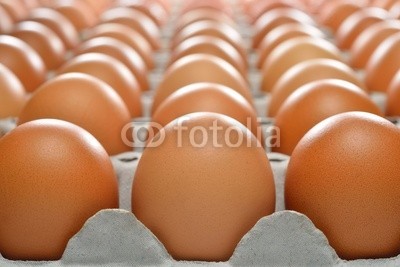 amenic181, Eggs in the package (ei, roh, haufen, bauernhof, essen, focus, gruppe, braun, frisch, mÃ¤rkte, ostern, niemand, close-up, natÃ¼rlich, kÃ¼che, organisch, kÃ¼che, packing, huhn, cooking, protein, eierschale, lebensmittelgeschÃ¤ft, frÃ¼hstÃ¼cken, container, ackerba)