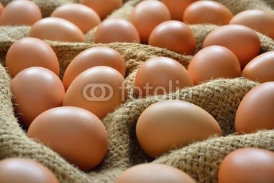 amenic181, Eggs on burlap sack (ei, roh, haufen, sacks, bauernhof, essen, focus, gruppe, braun, frisch, mÃ¤rkte, ostern, niemand, sackleinen, close-up, natÃ¼rlich, kÃ¼che, organisch, kÃ¼che, huhn, cooking, protein, eierschale, lebensmittelgeschÃ¤ft, frÃ¼hstÃ¼cken, ackerba)