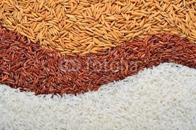 amenic181, rice in each milling step ( three kinds of rice) (trocken, mahlzeit, reif, ernte, bauernhof, ost, asien, thai, samen, lang, rice, essen, samenkorn, weiÃŸ, braun, schlieÃŸen, reisfeld, fasern, ashtray, gelb, abendessen, gesundheit, natur, eating, cereal, chinese, geÃ¤dert, gesund, cooking, ernten, dietar)